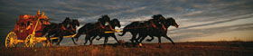 Wells Fargo Financial